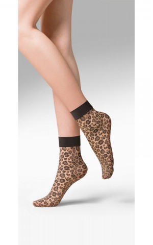 Gabriella - Caty 20den Beige/Black - Socks Leopar Pattern